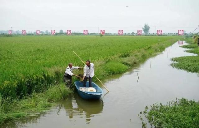 湖北小龙虾