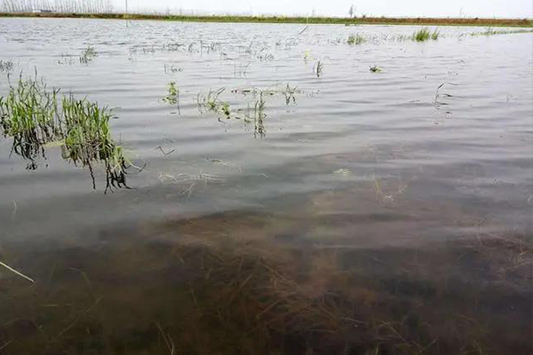 河南特色水产品地址