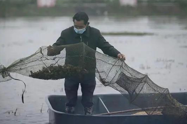 河南特色水产品地址