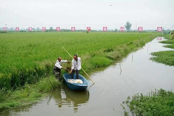 湖南特色龙虾市场在哪