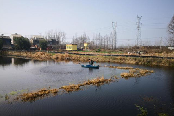 咸宁有名小龙虾种苗基地在哪